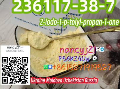 236117-38-7 Russia 2-iodo-1-p-tolylpropan-1-one