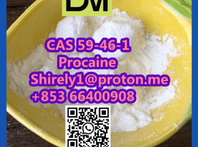 CAS 59-46-1 Procaine with high quality