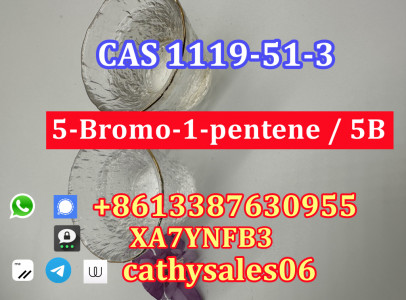 CAS 1119-51-3  For Sale 5-Bromo-1-pentene with f