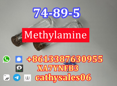 nice quality Methylamine solution 40 % 74-89-5
