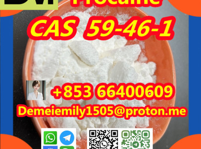 CAS 59-46-1 Procaine China factory supply