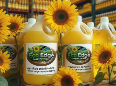 Top best quality organice refined sunflower oil