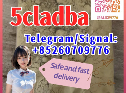 High purity	5cl-adb 5cladba 5cl	telegram:@alice9