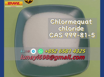 tert-Butylhydrazine hydrochloride CAS 7400-27-3