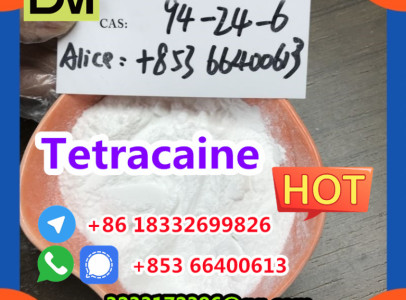 Factory Supply  CAS 94-24-6 High Quality Tetraca