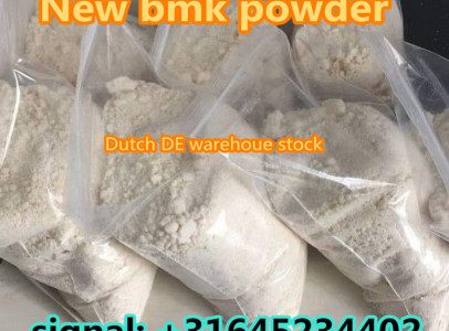 CAS 718-08-1 NEW BMK POWDER netherland warehouse