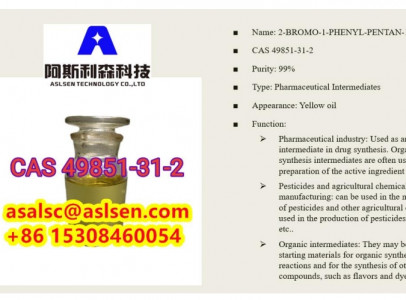 Factory supply high-purity PMK CAS 28578-16-7