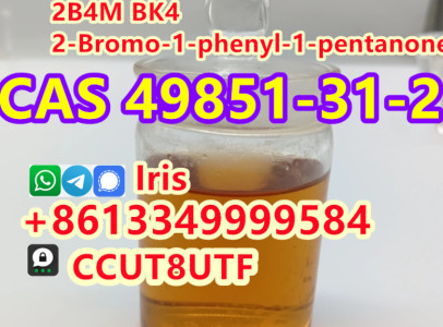 Cas 49851-31-2 2-Bromovalerophenone