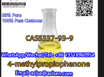 CAS5337-93-9 //4-methylpropiophenone
