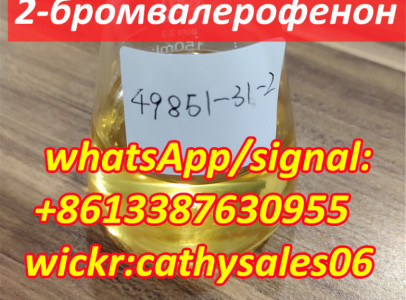 China 49851-31-2 2-Bromovalerophenone