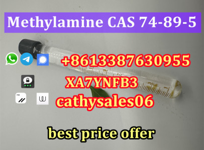 nice quality Methylamine solution 40 % 74-89-5