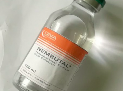 Order nembutal for sale, Nembutal Pentobarbital