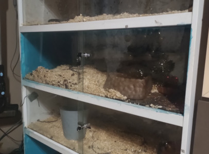 Bútor terrárium és keltető eladó!