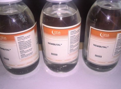 Nembutal Pentobarbital
