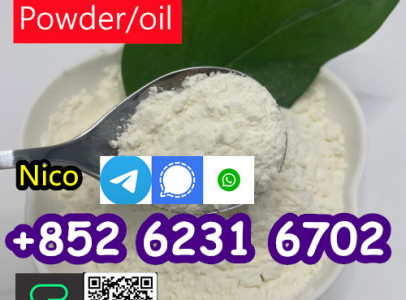 High quality 99% CAS 5449-12-7 BMK Glycidic Acid