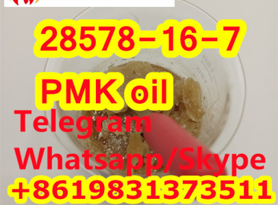 CAS 28578-16-7 PMK Oil PMK Powder