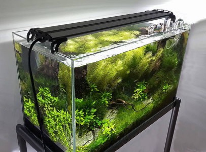 Akvárium LED világítás bármilyen méretben