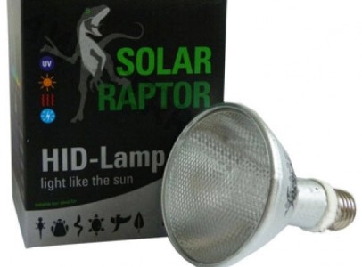 Solar Raptor UVB bulbs! The best in Europe!