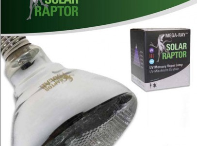 Solar Raptor UVB bulbs! The best in Europe!
