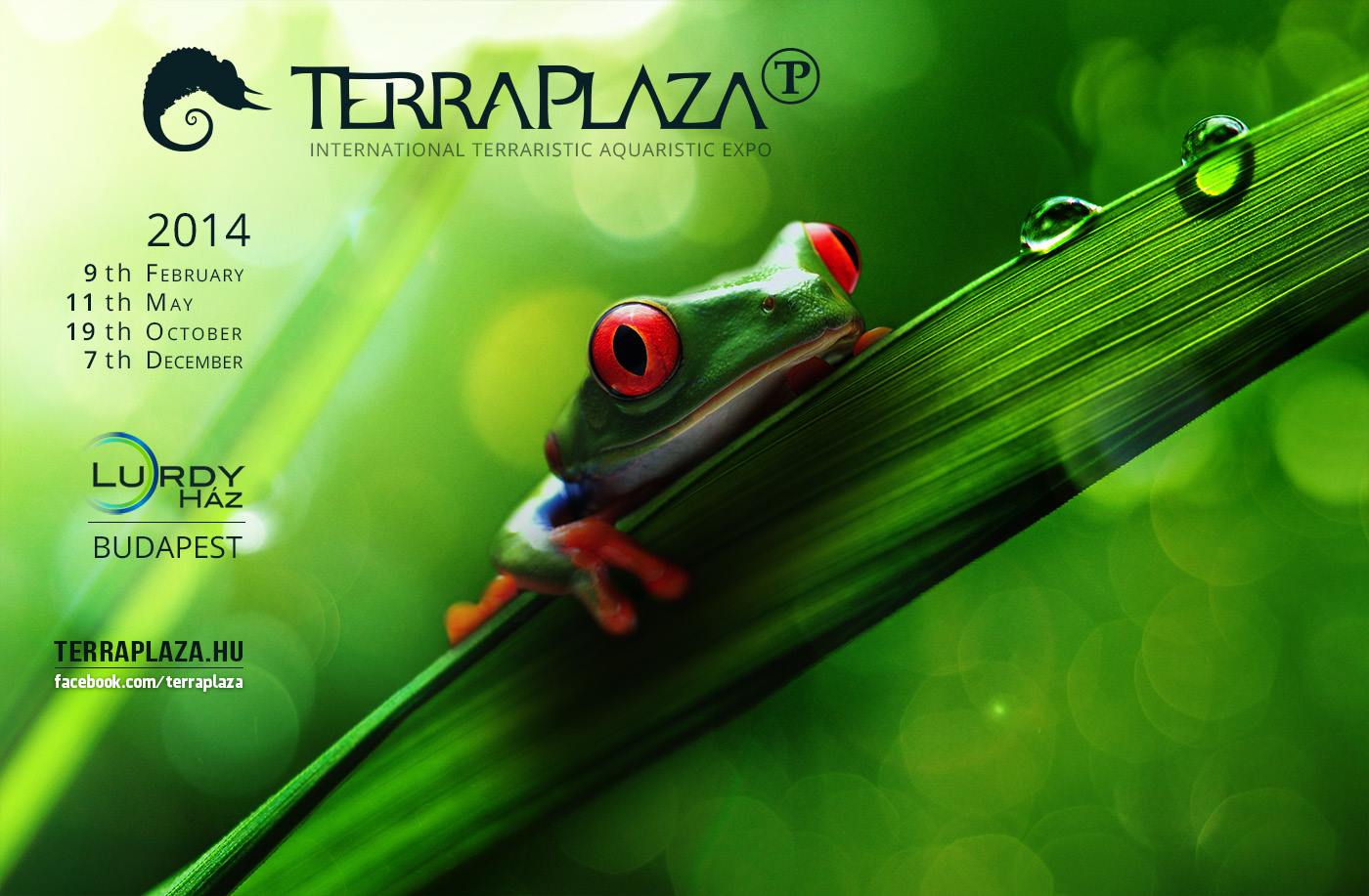 TerraPlaza 2014 February