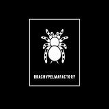 BrachypelmaFactory