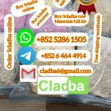 BUY5CLADBAONLINEUSA